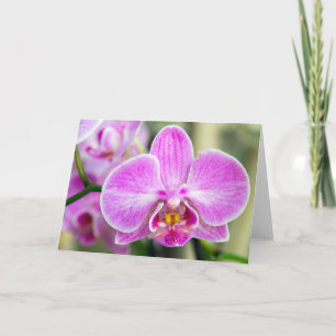 Paarse Orchid zegt: Hi Kaart