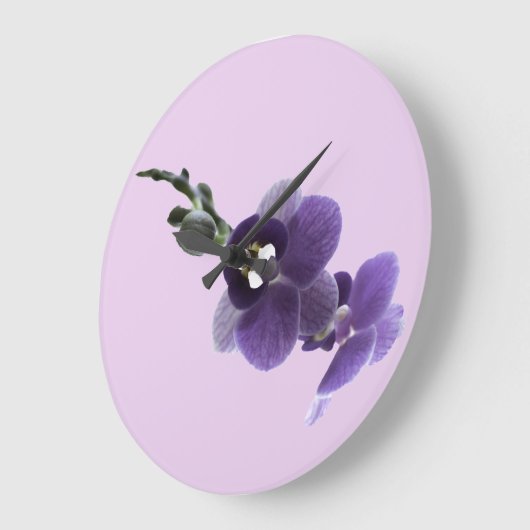 Paarse orchidebloem, grote klok (Hoek)