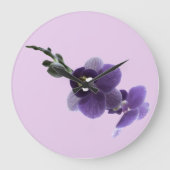 Paarse orchidebloem, grote klok (Voorkant)