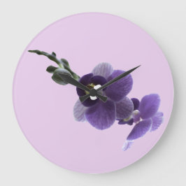 Paarse orchidebloem, grote klok