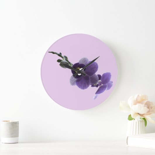 Paarse orchidebloem, grote klok (Huis)