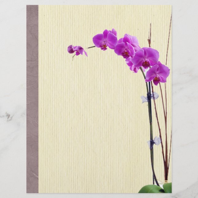 Paarse orchidee (Voorkant)