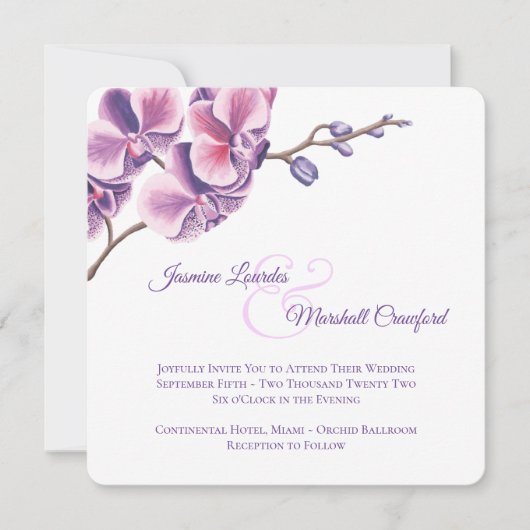 Paarse orchidee 2 kaart (Voorkant)