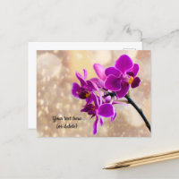 Paarse Orchidee Ansichtkaart