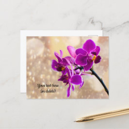 Paarse Orchidee Ansichtkaart Briefkaart