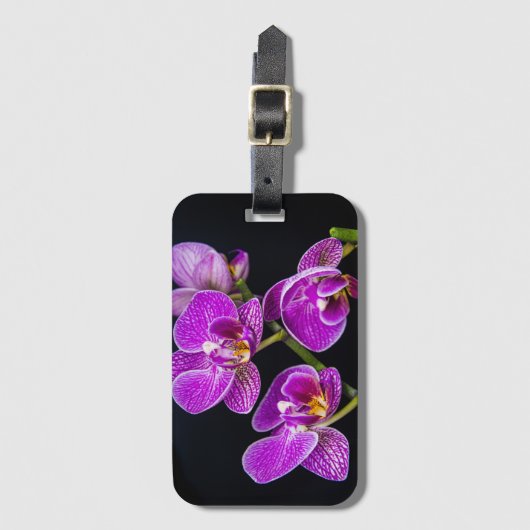 Paarse orchidee bagagelabel (Voorkant (verticaal))