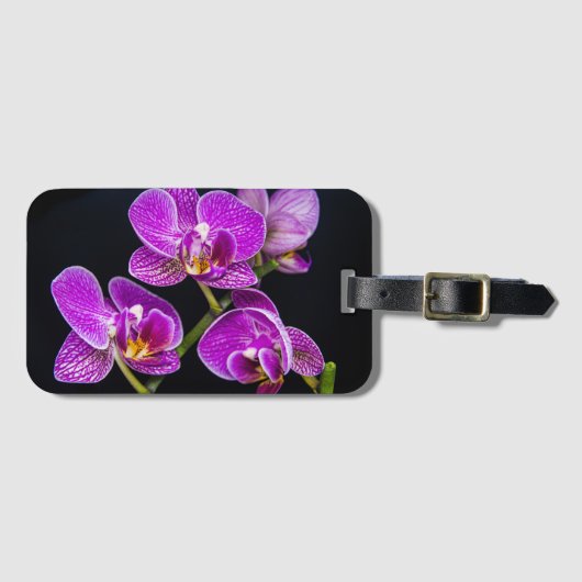 Paarse orchidee bagagelabel (Voorkant (horizontaal))
