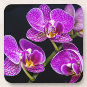 Paarse orchidee bier onderzetter (Voorkant)