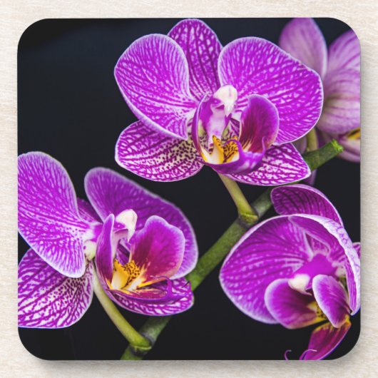 Paarse orchidee bier onderzetter (Voorkant)