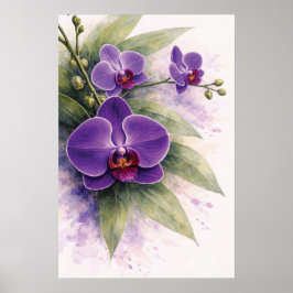 Paarse Orchidee Botanisch Poster