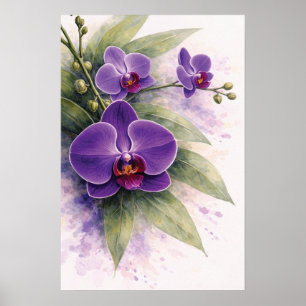 Paarse Orchidee Botanisch  Poster