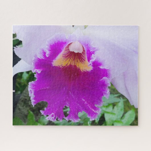 paarse orchidee close-up legpuzzel (Horizontaal)