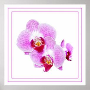 Paarse orchidee Closeup Floral Fotografie Poster