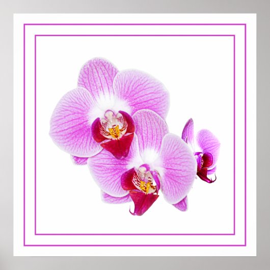 Paarse orchidee Closeup Floral Fotografie Poster (Voorkant)