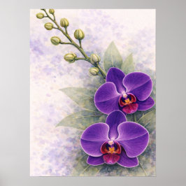 Paarse Orchidee Duo Bloem Botanisch Poster