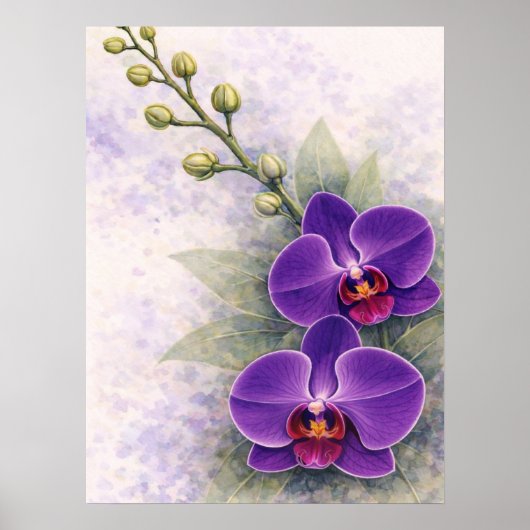 Paarse Orchidee Duo Bloem Botanisch Poster (Voorkant)