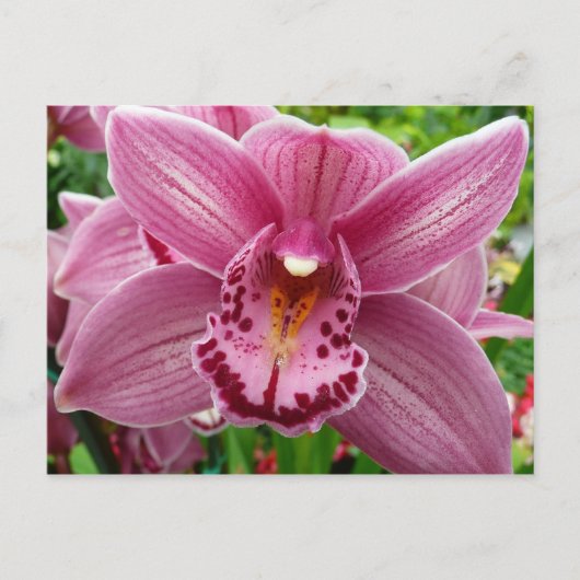 Paarse Orchidee Elegant Floral Briefkaart (Voorkant)