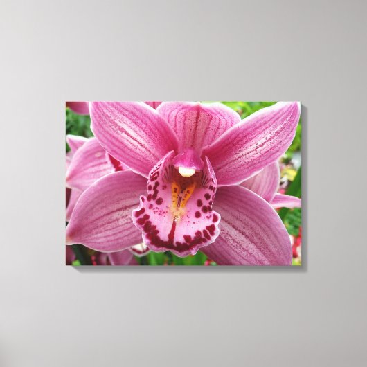 Paarse Orchidee Elegant Floral Canvas Afdruk (Voorkant)