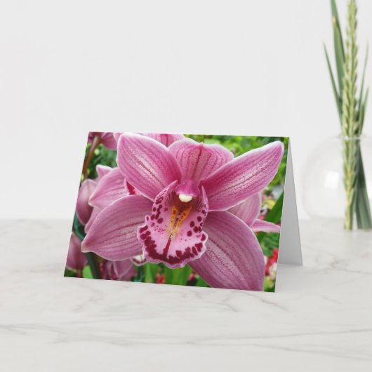 Paarse Orchidee Elegant Floral Kaart (Voorkant)