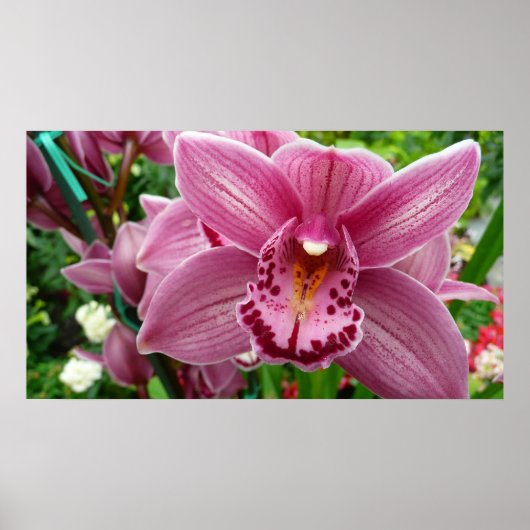 Paarse Orchidee Elegant Floral Poster (Voorkant)