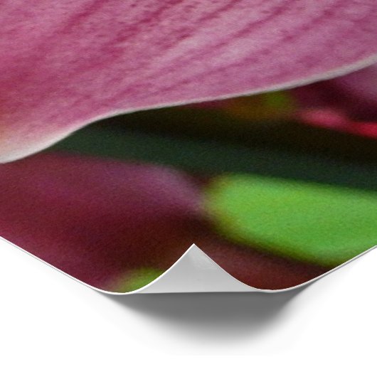 Paarse Orchidee Elegant Floral Poster (Hoek)