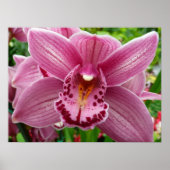 Paarse Orchidee Elegant Floral Poster (Voorkant)