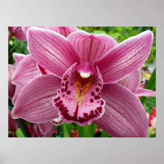 Paarse Orchidee Elegant Floral Poster (Voorkant)