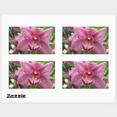 Paarse Orchidee Elegant Floral Rechthoekige Sticker (Vel)