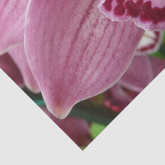 Paarse Orchidee Elegant Floral Tissuepapier (Detail)