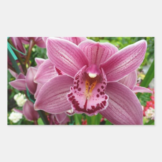 Paarse Orchidee Elegante Bloem Botanisch Rechthoekige Sticker (Voorkant)