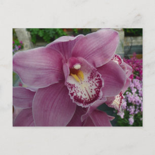 Paarse orchidee en tuinkleurige Floral Briefkaart