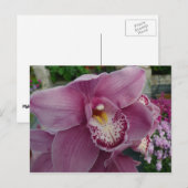 Paarse orchidee en tuinkleurige Floral Briefkaart (Voorkant / Achterkant)