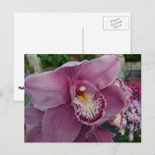Paarse orchidee en tuinkleurige Floral Briefkaart (Voorkant / Achterkant)