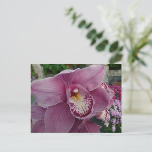 Paarse orchidee en tuinkleurige Floral Briefkaart (Staand voorkant)