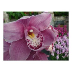 Paarse orchidee en tuinkleurige Floral Foto Afdruk