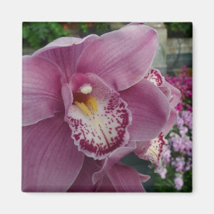 Paarse orchidee en tuinkleurige Floral Magneet