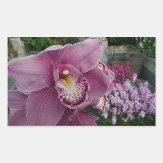 Paarse orchidee en tuinkleurige Floral Rechthoekige Sticker (Voorkant)
