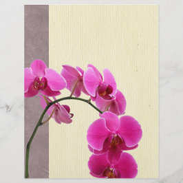 Paarse orchidee flyer