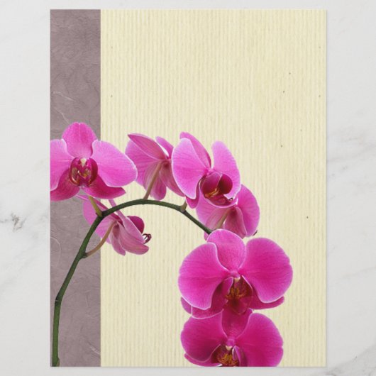 Paarse orchidee flyer (Voorkant)