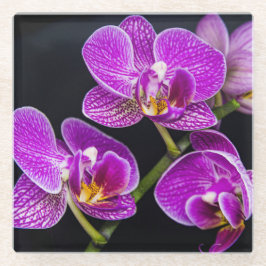 Paarse orchidee glazen onderzetter
