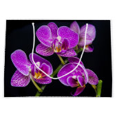 Paarse orchidee groot cadeauzakje (Voorkant)