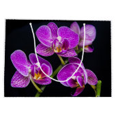 Paarse orchidee groot cadeauzakje (Achterkant)