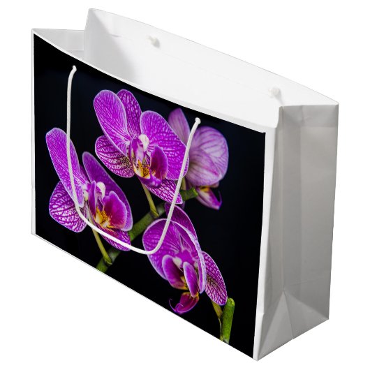 Paarse orchidee groot cadeauzakje (Voorkant Gekanteld)