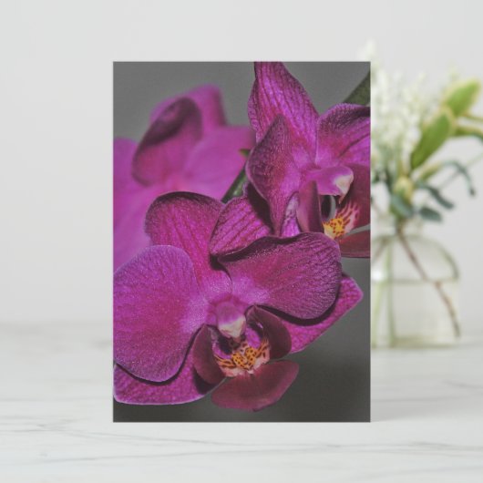 Paarse Orchidee Kaart (Staand voorkant)