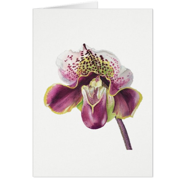Paarse orchidee kaart 5-inch X 7-inch leverbaar, m (Voorkant)