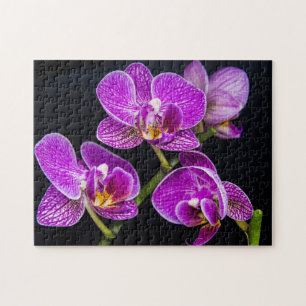 Paarse orchidee legpuzzel