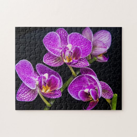 Paarse orchidee legpuzzel (Horizontaal)