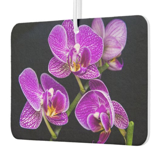 Paarse orchidee luchtverfrisser (Links)