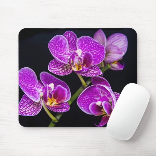 Paarse orchidee muismat (Met muis)