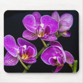 Paarse orchidee muismat (Voorkant)